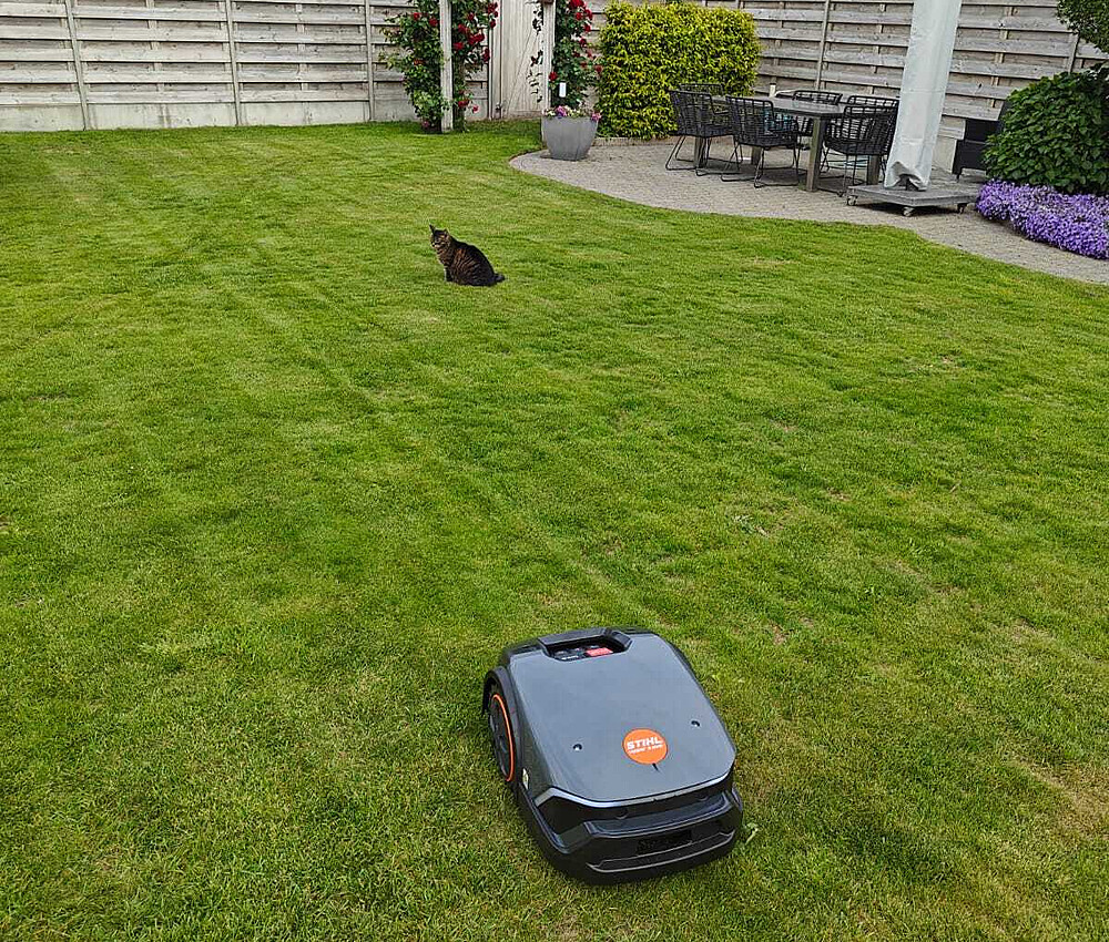 Whats App Image 2026 01 15 at 22 16 55