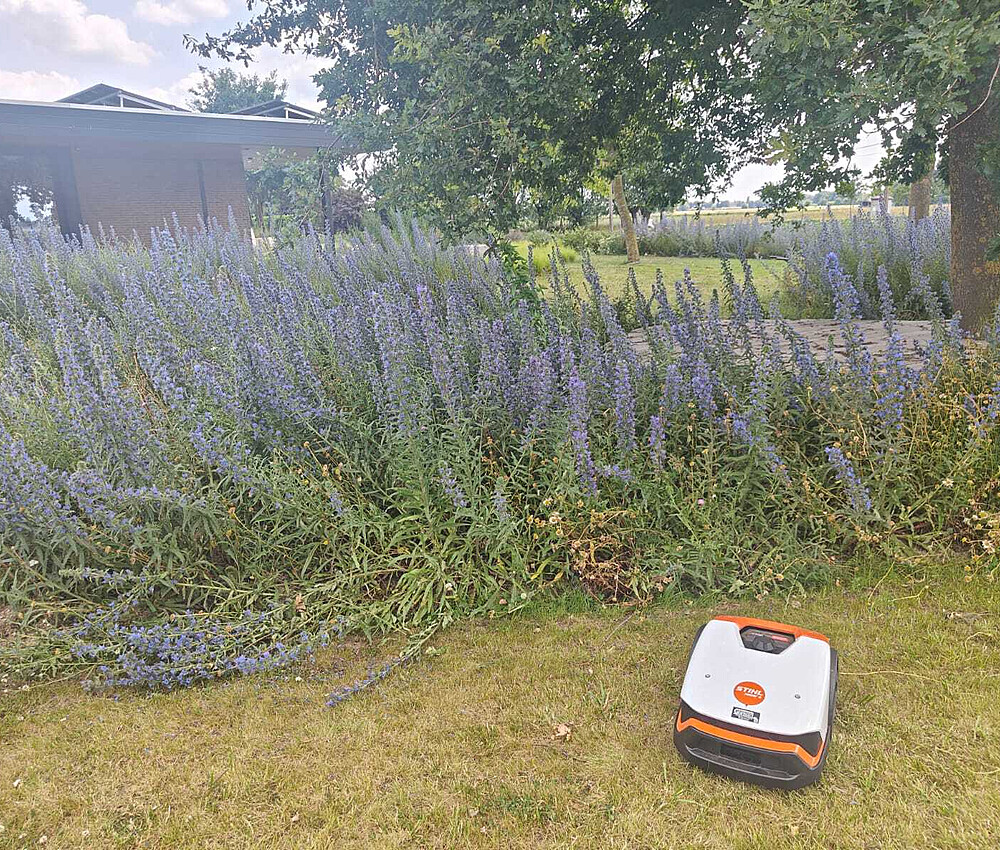 Whats App Image 2026 01 15 at 22 16 38