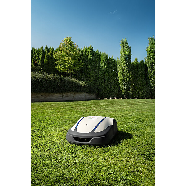 408978064 785918363548303 8990806554425488218 n