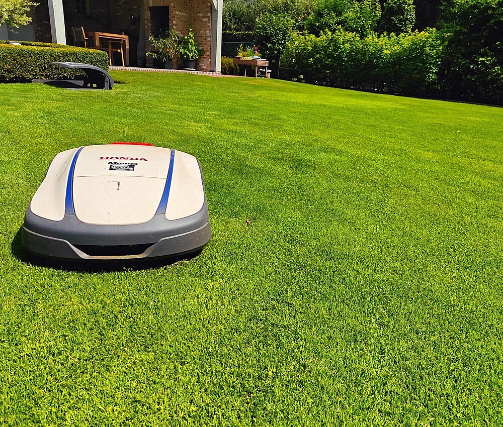 953ad0ed e8d7 4265 9e2c 28d6b8dc4188