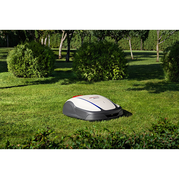 408845509 785918630214943 1976077442919245109 n