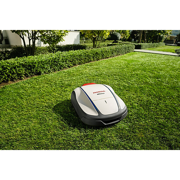 408872806 785918290214977 1494612169525146722 n