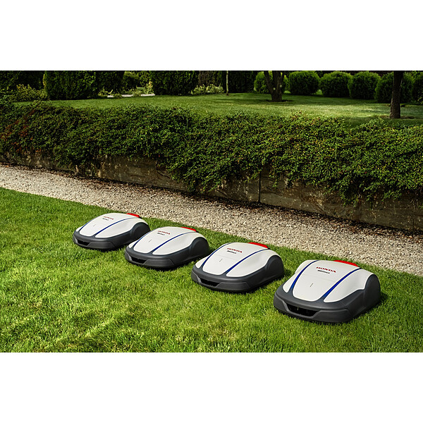 408875455 785917973548342 2122538607929497093 n