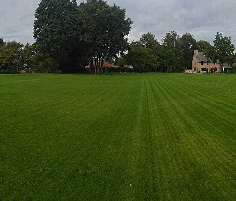 E53ddefe d549 48da 8016 c614cc2c6a0a