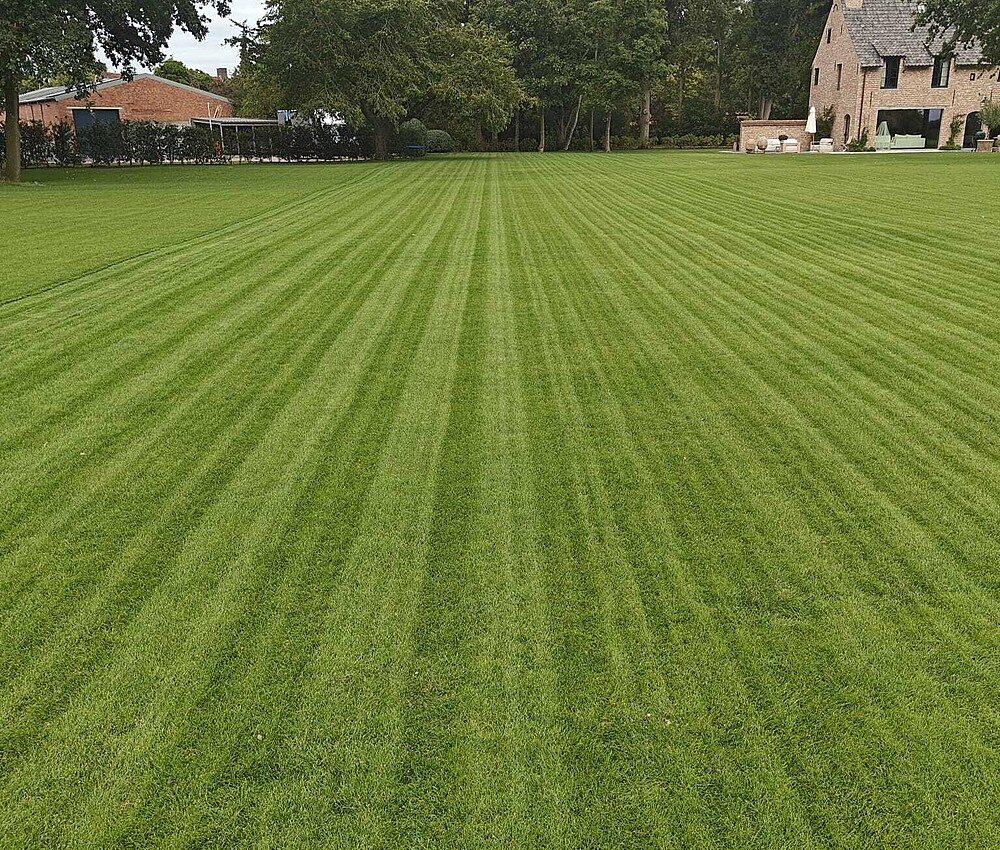 135afd9b 2531 48d2 8c40 690ba5a22b08