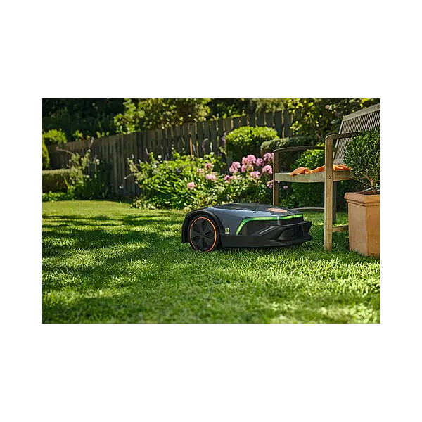 Img 3038567e 4f40 4775 8c0d fa61fef0910b