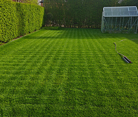 Schermafbeelding 2026 01 15 225258