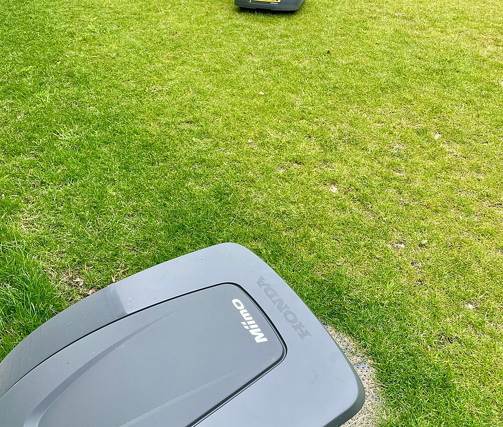 D68bcc0a 7ddf 42b4 9206 c91ae0018d19