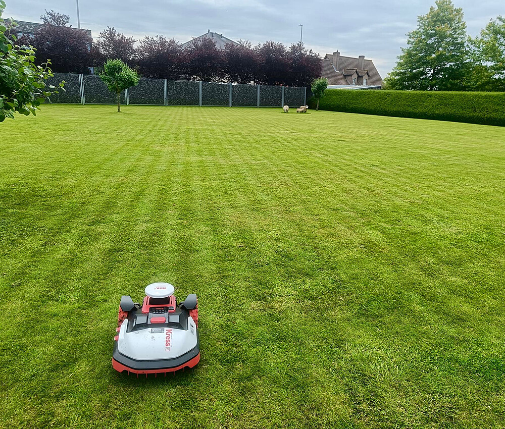 19776fd5 28dd 40b6 a601 a3717c64d99f