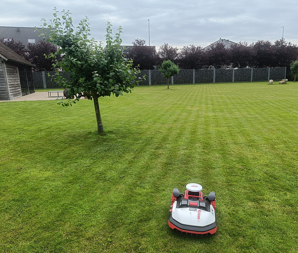 Whats App Image 2024 07 10 at 16 58 22